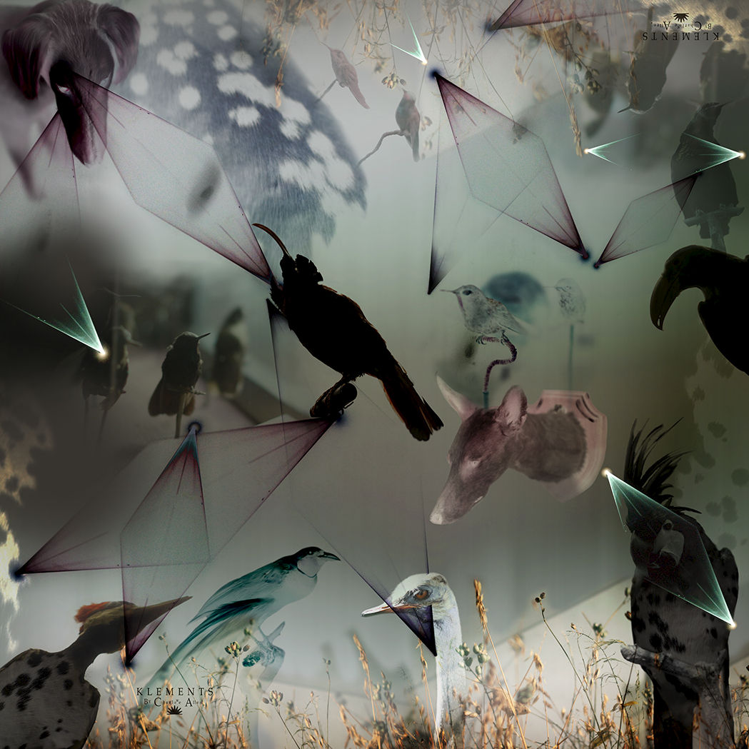 LAZER Silk SCARF - Klements by Charlotte Allen