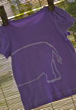 product images  of 