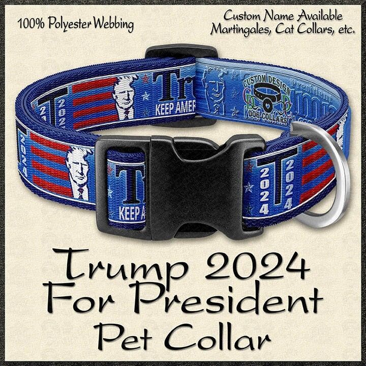 Trump 2024 for President Designer Dog Collar available in Pink or Blue Versions - product image