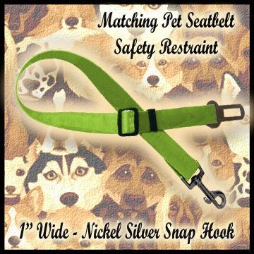 Trump 2024 for President Designer Dog Collar available in Pink or Blue Versions - product image