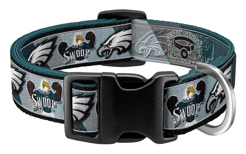 SWOOP Philadelphia Eagles Team Color Palette Designer Dog Collar - Pink or Green - product image