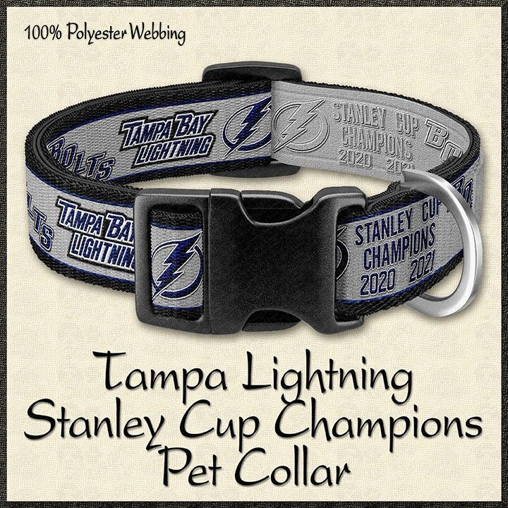 PINK Stanley Cup Champions Tampa Bay Lightning Dog Collar - product image