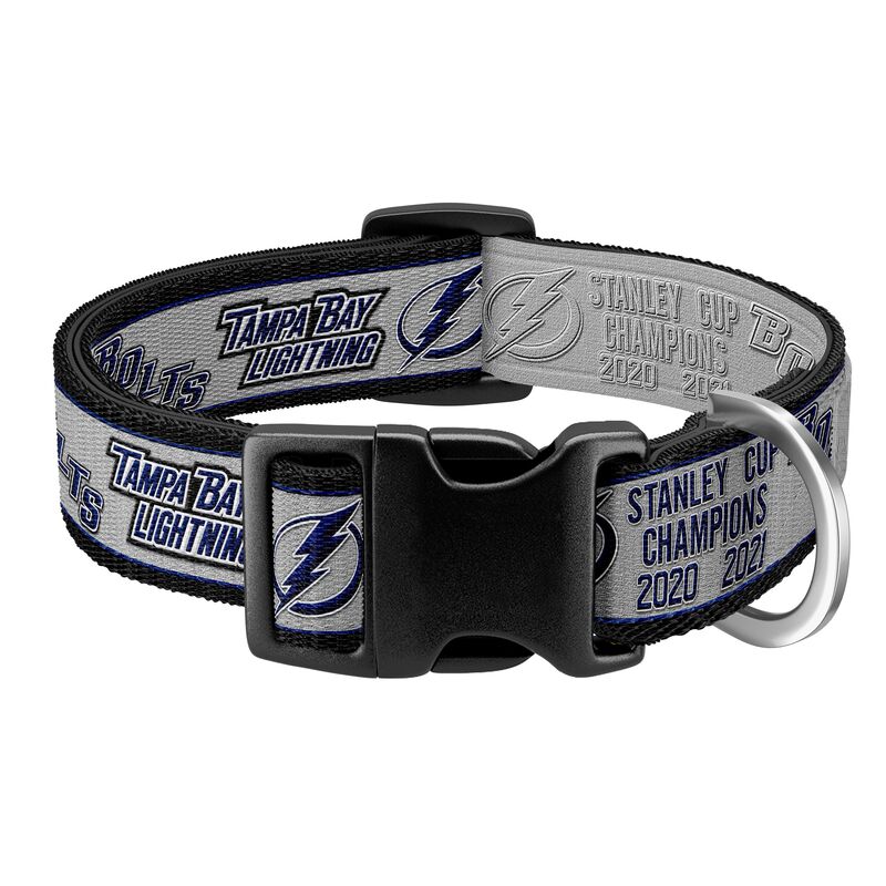 PINK Stanley Cup Champions Tampa Bay Lightning Dog Collar - product image