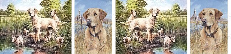 Custom Listing DIANE S - product image