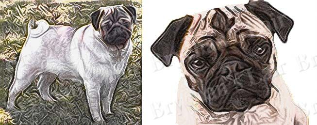 Custom Listing DIANE S - product image