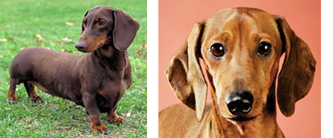 Custom Listing DIANE S - product image