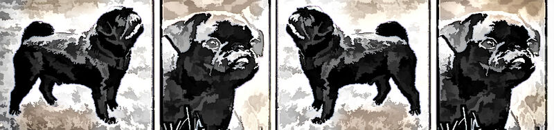 Custom Listing DIANE S - product image