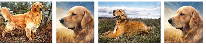 Custom Listing DIANE S - product image