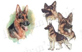 Custom Listing DIANE S - product image