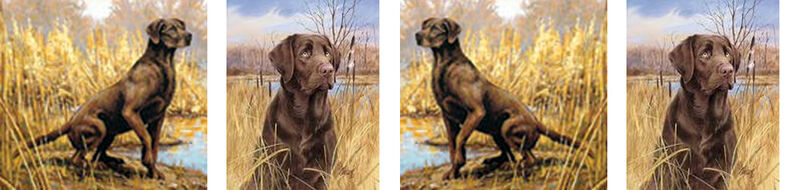 Custom Listing DIANE S - product image