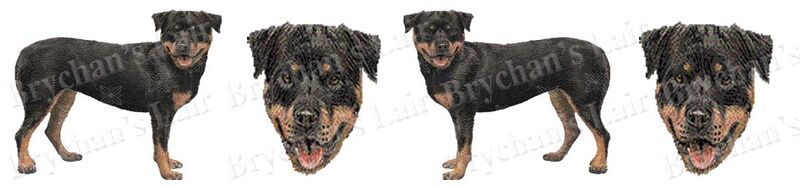 Custom Listing DIANE S - product image