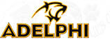 Adelphi University Design Custom Grosgrain Ribbon - product image