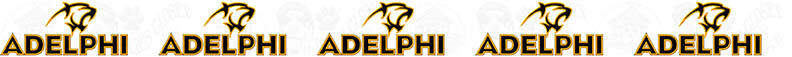 Adelphi University Design Custom Grosgrain Ribbon - product image