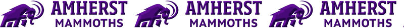 Amherst College Mammoths Design Custom Grosgrain Ribbon - product image