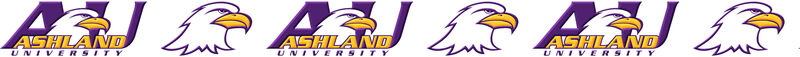 Ashland University Eagles Custom Designed Grosgrain Ribbon - product image