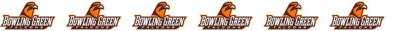 Bowling Green University Falcons No2 Custom Designed Grosgrain Ribbon - product image