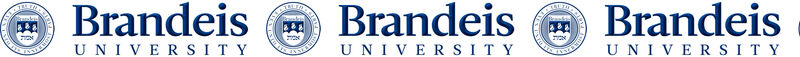 Brandeis University Custom Designed Grosgrain Ribbon - product image