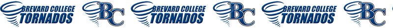 Brevard College Tornados Custom Designed Grosgrain Ribbon - product image