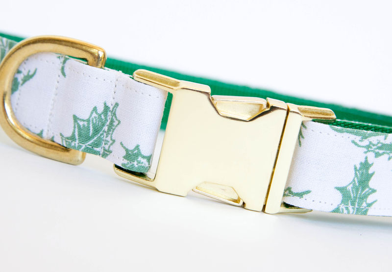 holly dog collar