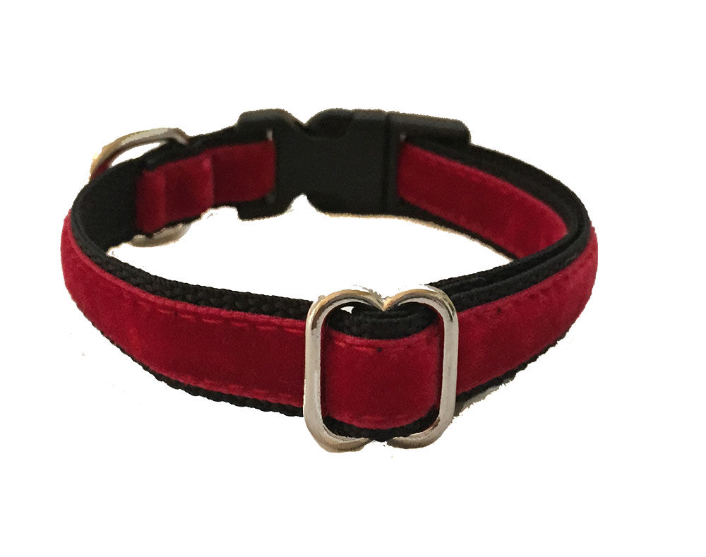 Design your own Velvet Collar Hollywoof Styles