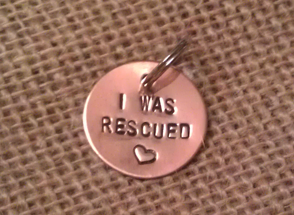 Rescued Dog Tag Hollywoof Styles