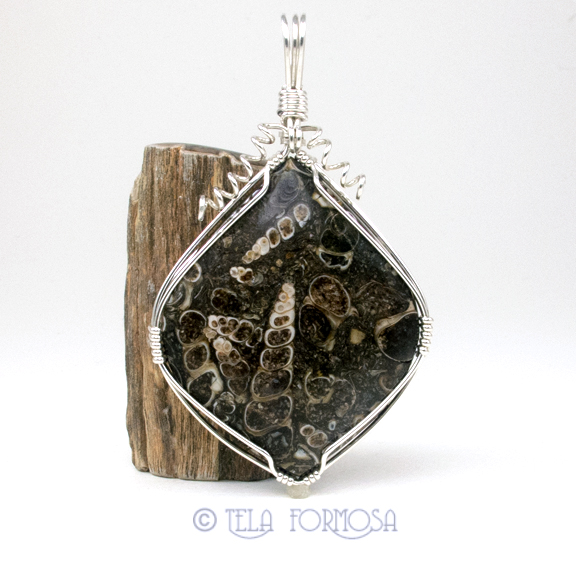 Turritella wire wrapped pendant tela formosa