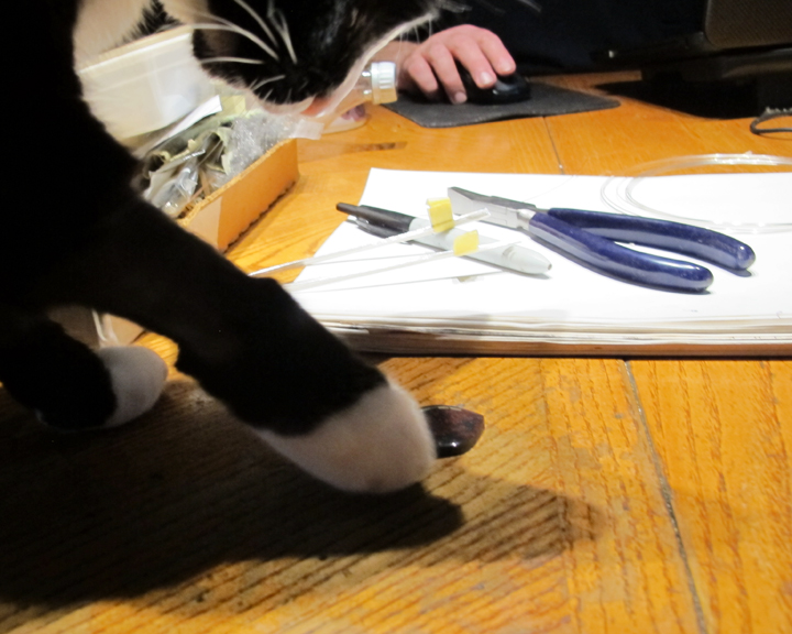 Cat helps with the cab