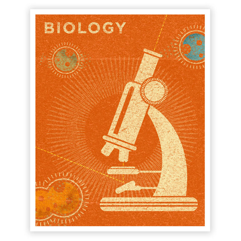 Girls Science Art Art for Boys Room Biology Art Print 8 in x 10 in