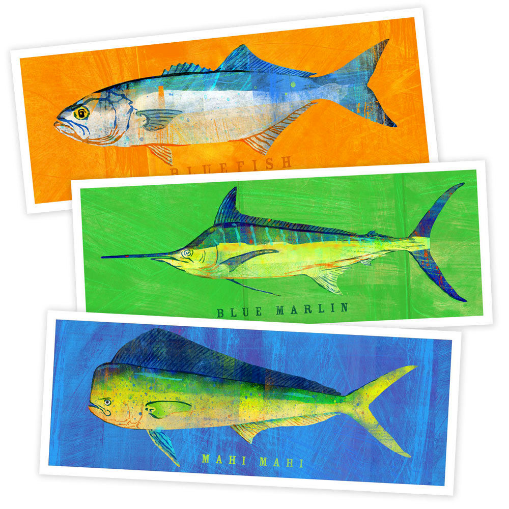 Fish Artwork- 3 Medium Fish- Pick 3 Prints 4" x 11" Saltwater Fish Art- Sea Life Art Prints ...