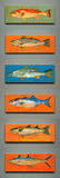 product images  of 