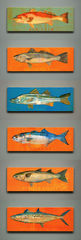 Product images  of 