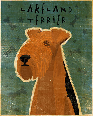 Lakeland,Terrier,Dog,Art,Print,8,x,10,Illustration,digital,whimsical,cute,dog,animals,animal,schnauzer,black,paper,ink