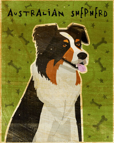 Australian,Shepherd,Print,-,Various,Colors,Art,Illustration,digital,whimsical,cute,dog,animal,australian,shepherd,black,blue merle,red merle,merle,paper,ink