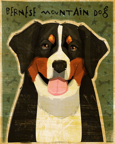 Bernese,Mountain,Dog,Print,Art,Illustration,digital,whimsical,cute,dog,animal,bernese mountain dog,paper,ink