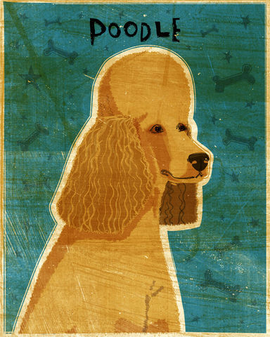 Poodle,Print,-,Various,Colors,Art,Illustration,digital,whimsical,cute,dog,animal,poodle,black,gray,white,apricot,chocolate,paper,ink