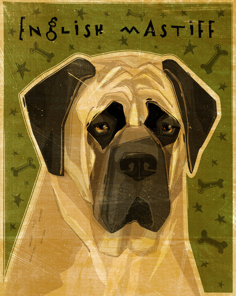 English Mastiff Print - Various Colors - John W. Golden Art