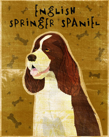 English,Springer,Spaniel,Print,-,Various,Colors,Art,Illustration,digital,whimsical,cute,dog,animal,english_springer_spaniel,black,liver,tri-color,paper,ink