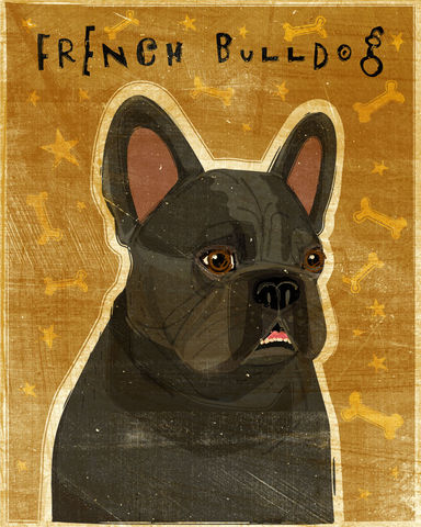 French,Bulldog,Print,-,Various,Colors,Art,Illustration,digital,whimsical,cute,dog,animals,animal,french,bulldog,Black,Brindle,White,Fawn,cream,paper,ink