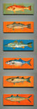 product images  of 