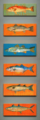 Product images  of 