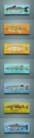 Freshwater,Fish,Art,Series,Large,Block,-,Pick,the,Print,4,in,x,11,Wall,Decor,Fisherman,Gift,Fathers,Day,for,Dad,Digital,Wood_Art_Block,Fish_Art_On_Wood,Fish_Wall_Decor,Fish_Wall_Art,Fish_Wall_Hanging,Fish_Illustration,Fish_Artwork,Funky_Fish_Art,Freshwater_Fish_Art,Fathers_Day_Gift,Gift_For_Dad,Dad_Gift,wood,paper,ink,glue,sealer