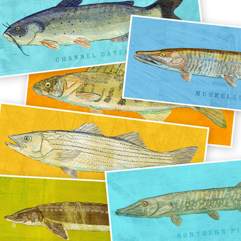 Freshwater,Fish,Art,-,The,Big,One,Print,Pick,the,6.6,in,x,18,Decor,Fathers,Day,Gift,for,Dad,Kids,Digital,Fish_Decor,Coastal_Art,Freshwater_Fish_Art,Fish_Print,Fathers_Day_Gift,Gift_For_Dad,Kids_Fish_Art,Dad_Gift,Paper,Ink