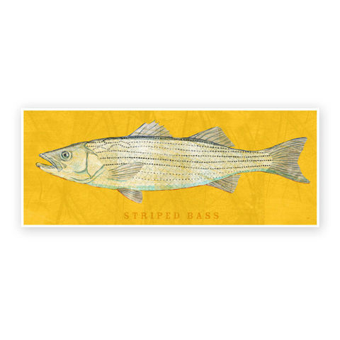 Freshwater,Fish,Art,-,Striped,Bass,Print,6.6,in,x,18,Decor,Fathers,Day,Gift,for,Dad,Kids,Fishing,Digital,Fish_Decor,Coastal_Art,Freshwater_Fish_Art,Fish_Print,Fathers_Day_Gift,Gift_For_Dad,Kids_Fish_Art,Striped_Bass_Art,Bass_Art_Print,Dad_Gift,Paper,Ink