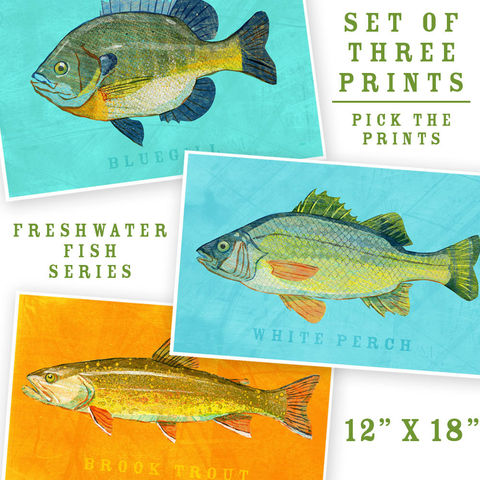 Fish,Artwork,-,3,Big,Fishes,Set,of,Prints,12,in,x,18,Kids,Art,Decor,Man,Cave,Lake,House,Fathers,Day,Gift,Print,Digital,Fish_Artwork,Kids_Fish_Art,Fish_Prints,Fish_Wall_Decor,Saltwater_Fish_Art,Coastal_Beach_Decor,Coastal_Art,Spot_Print,Man_Cave_Art,fathers_day_gift,Paper,Ink