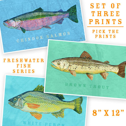 Fish,Artwork,-,3,Medium,Fishies,Set,of,Prints,8,in,x,12,Kids,Art,Decor,Man,Cave,Lake,House,Fathers,Day,Gift,Print,Digital,Fish_Artwork,Kids_Fish_Art,Fish_Prints,Fish_Wall_Decor,Saltwater_Fish_Art,Coastal_Beach_Decor,Coastal_Art,Spot_Print,Man_Cave_Art,fathers_day_gift,Paper,Ink