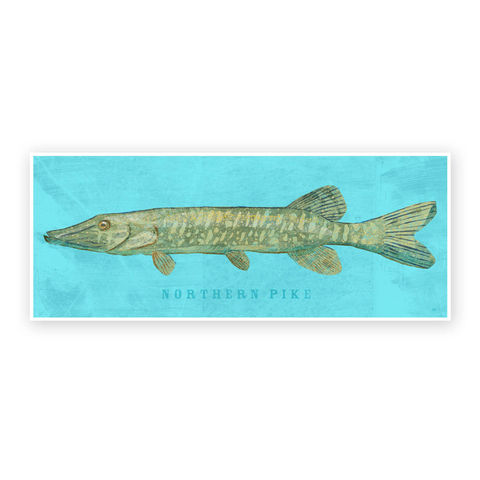 Freshwater,Fish,Art,-,Northern,Pike,Print,6.6,in,x,18,Decor,Fathers,Day,Gift,for,Dad,Kids,FIshing,Digital,Fish_Decor,Coastal_Art,Freshwater_Fish_Art,Fish_Print,Fathers_Day_Gift,Gift_For_Dad,Kids_Fish_Art,Northern_Pike_Art,Pike_Art_Print,Dad_Gift,Paper,Ink