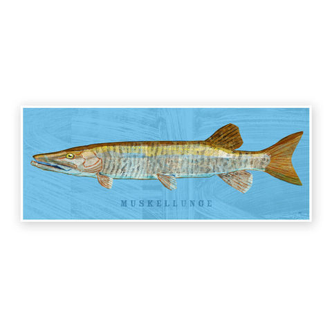 Freshwater,Fish,Art,-,Muskellunge,Print,6.6,in,x,18,Decor,Fathers,Day,Gift,for,Dad,Kids,Fishing,Digital,Fish_Decor,Coastal_Art,Freshwater_Fish_Art,Fish_Print,Fathers_Day_Gift,Gift_For_Dad,Kids_Fish_Art,Muskellunge_Art,Muskie_Art_Print,Dad_Gift,Paper,Ink