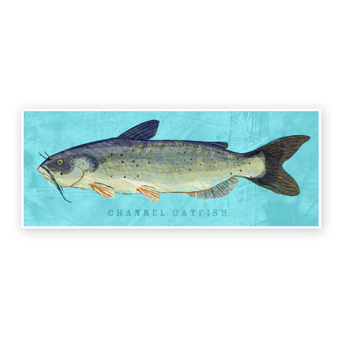 Freshwater,Fish,Art,-,Channel,Catfish,Print,6.6,in,x,18,Decor,Fathers,Day,Gift,for,Dad,Kids,Digital,Fish_Decor,Coastal_Art,Freshwater_Fish_Art,Fish_Print,Fathers_Day_Gift,Gift_For_Dad,Kids_Fish_Art,Channel_Catfish_Art,Catfish_Art_Print,Dad_Gift,Paper,Ink