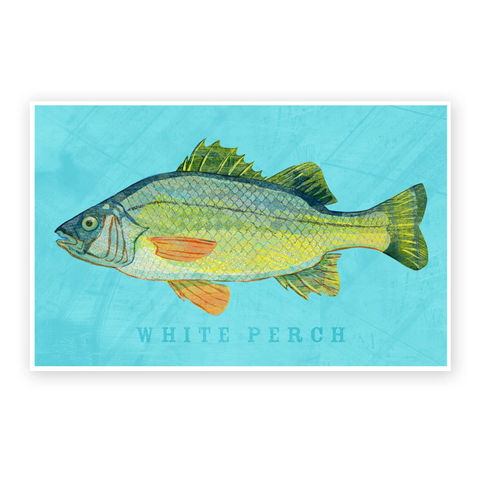 White,Perch,Art,Print,-,Freshwater,Fish,8,x,12,Decor,Lake,House,Man,Cave,Fathers,Day,Gift,for,Dad,Digital,Fish_Print,Fish_Decor,Fish_Gifts,Coastal_Beach_Decor,Coastal_Decor,Man_Cave_Art,Freshwater_Fish_Art,Fathers_Day_Gift,Gift_For_Dad,Lake_House_Decor,White_Perch_Art,Perch_Art_Print,Dad_Gift,Paper,Ink