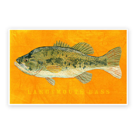 Largemouth,Bass,Art,Print,-,Freshwater,Fish,8,x,12,Decor,Beach,House,Man,Cave,Fathers,Day,Gift,for,Dad,Digital,Fish_Print,Fish_Decor,Coastal_Beach_Decor,Coastal_Art,Coastal_Decor,Man_Cave_Art,Freshwater_Fish_Art,Fathers_Day_Gift,Gift_For_Dad,Largemouth_Bass_Art,Bass_Art_Print,Dad_Gift,Beach_House_Decor,Paper,Ink